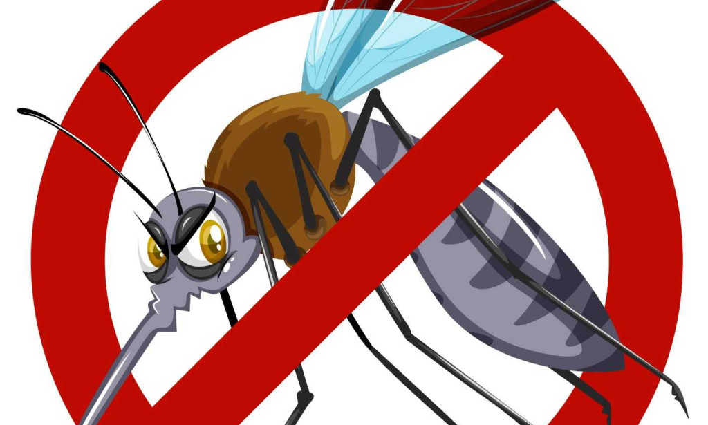 How to Treat Malaria: Symptoms, Diagnosis, and When to Seek Medical Care